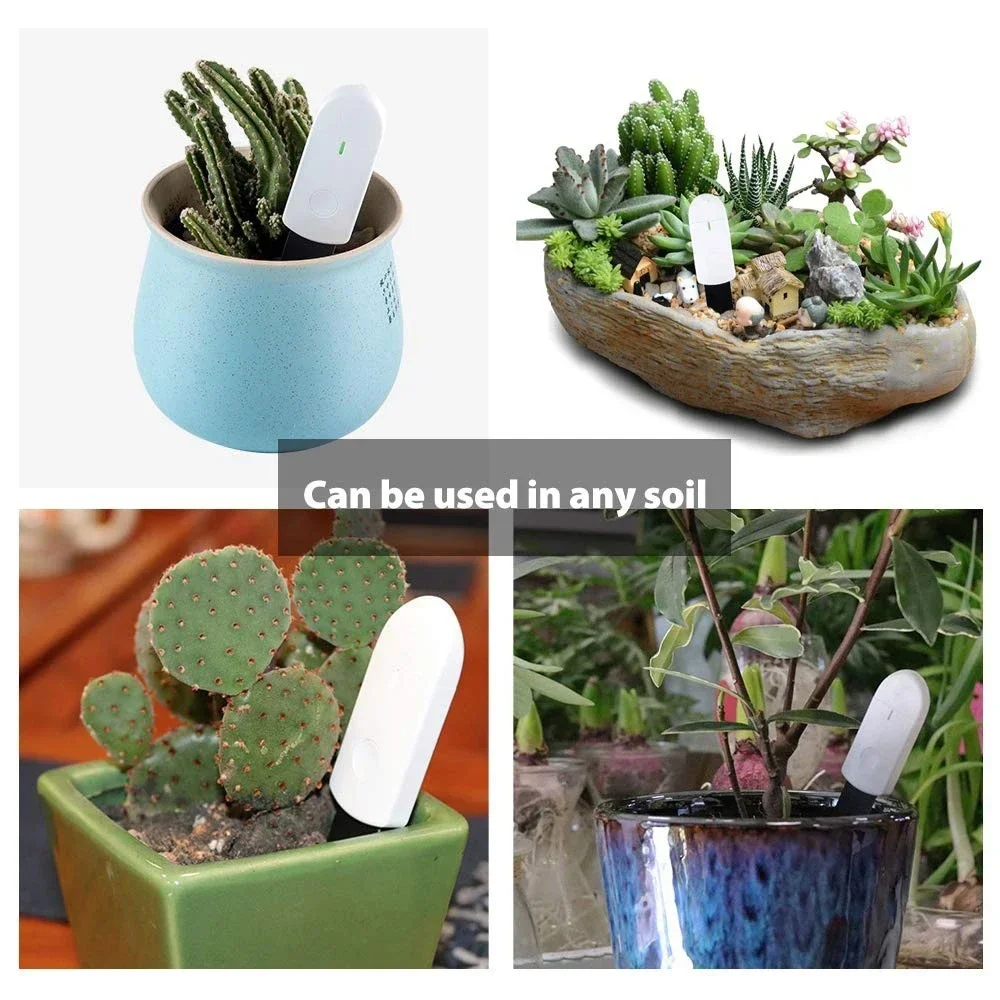 Novo Medidor de Umidade do Sol - Smart Garden Tools avaliação e preço