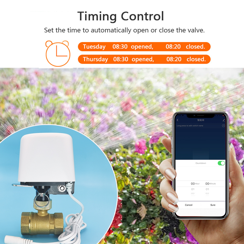Válvula de Água Tuya Zigbee Wi - Smart Garden Products avaliação e preço