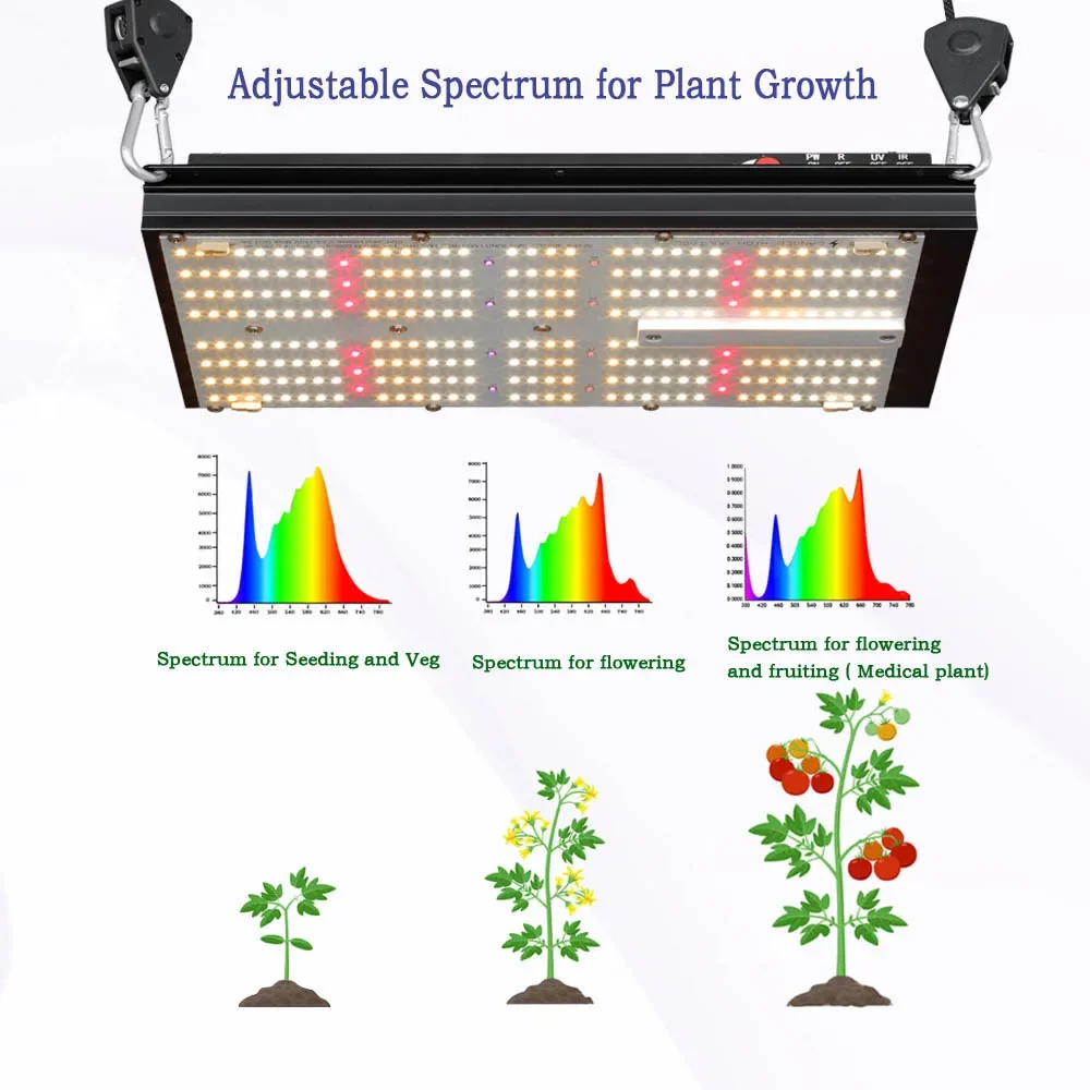 Baagreen sistema hidropônico p - Grow Tent Complete Kit avaliação e preço