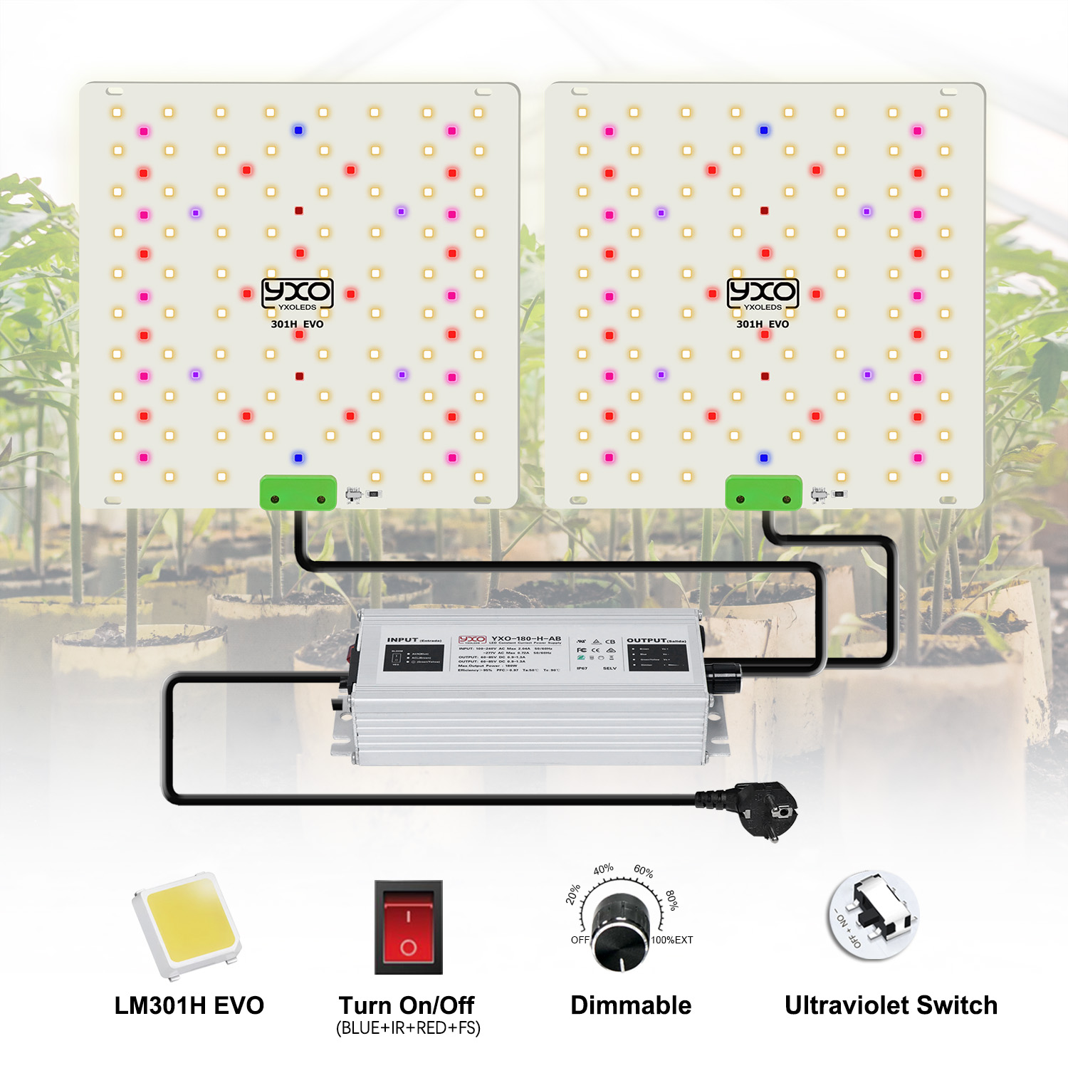 85w 180w lm301h evo quantum le - Grow Tent Complete Kit avaliação e preço