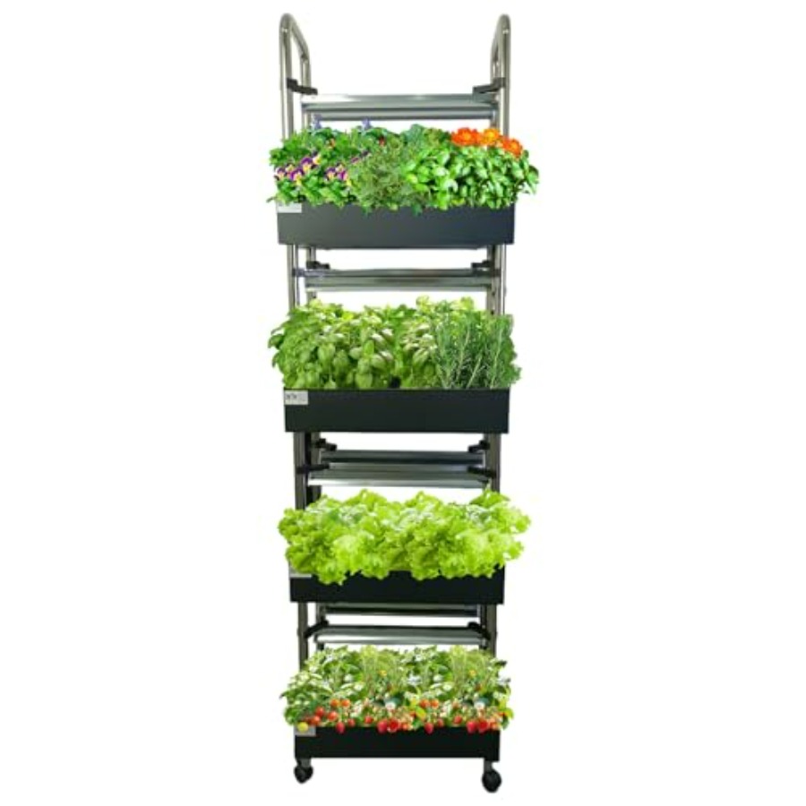 Sistema de cultivo hidropônico - Smart Garden Water avaliação e preço