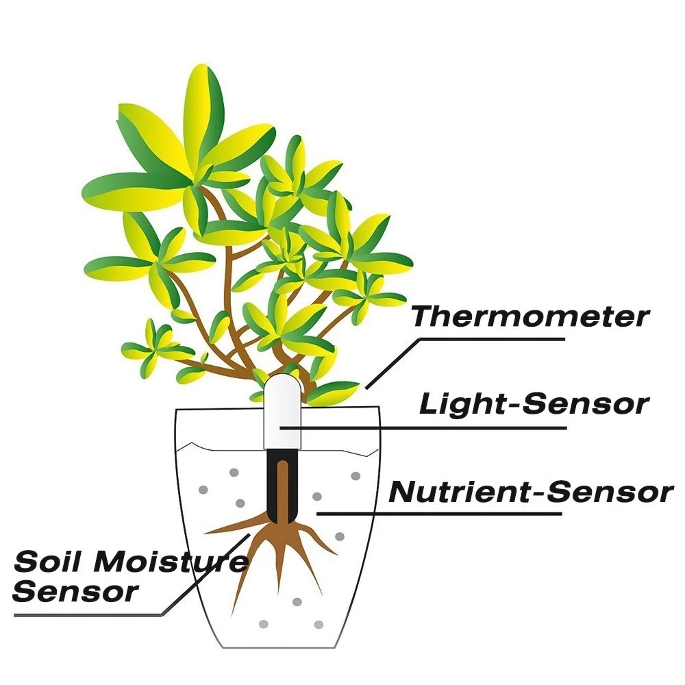 Hhcc flor monitor flora jardim - Smart Garden Products avaliação e preço
